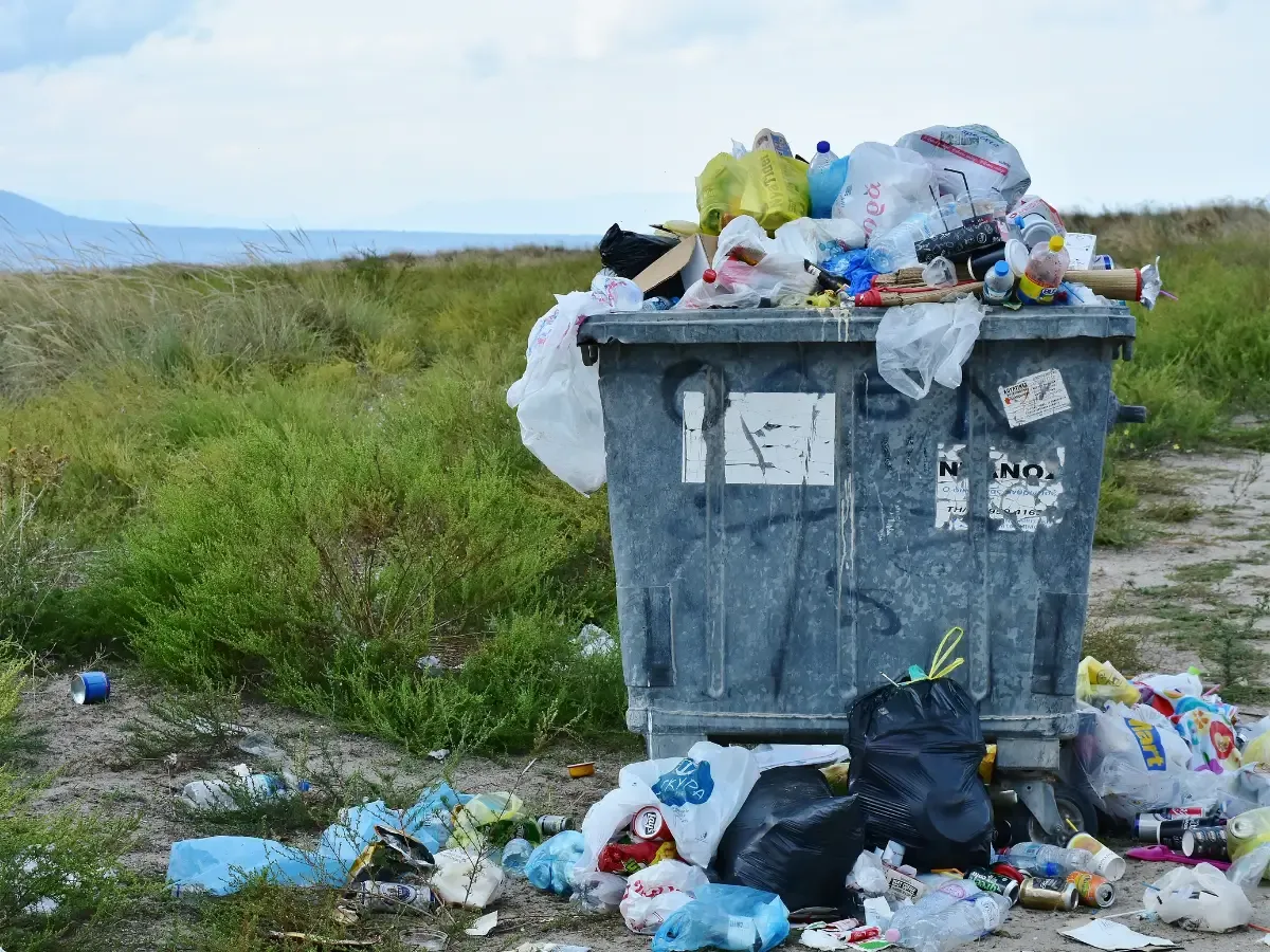 Photo — a contaminated curbside bin with no record of who's at fault